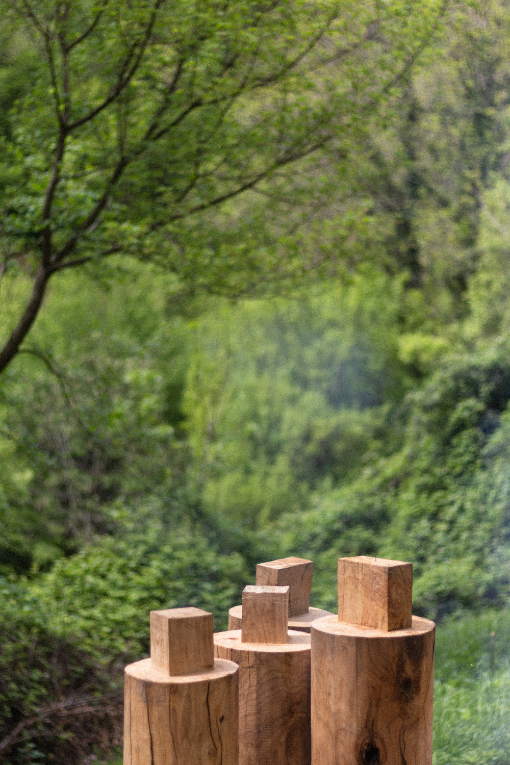 Photo by Antônio Frederico Lasalvia